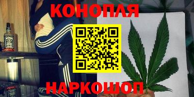 сатива Кандалакша