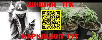 сатива Кандалакша