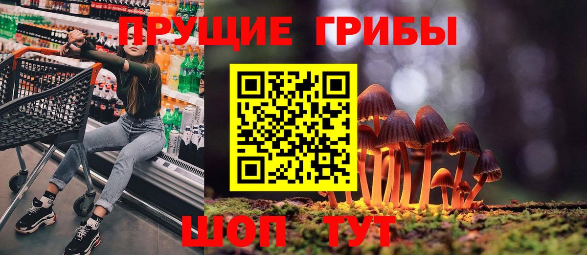Псилоцибиновые грибы мицелий  Вход с VPN  Красный Сулин 