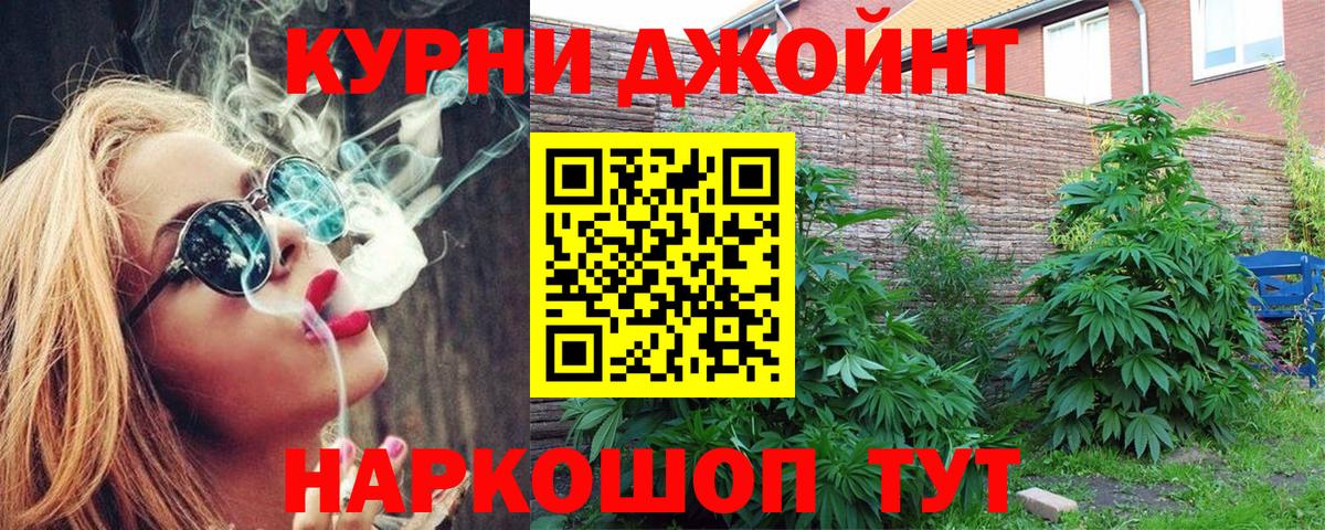 Конопля индика Красный Сулин